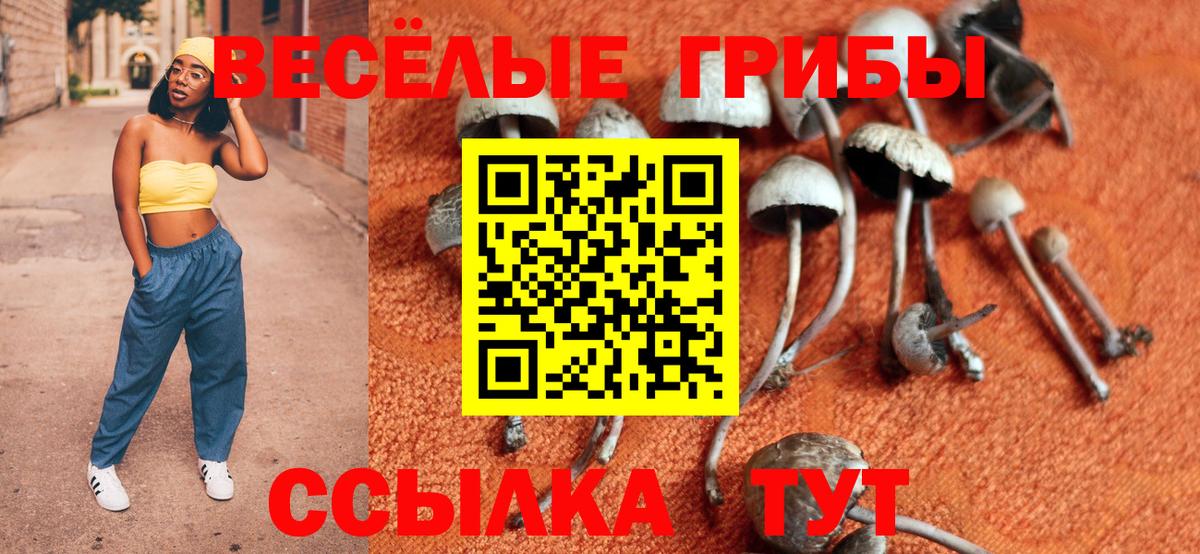 Псилоцибиновые грибы Magic Shrooms Звенигород