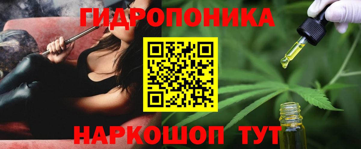 Канабис план Звенигород